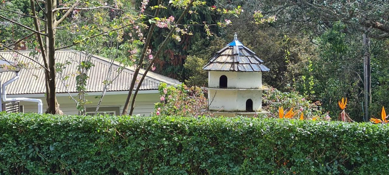 オークランド Dovecote House Bed & Breakfast エクステリア 写真